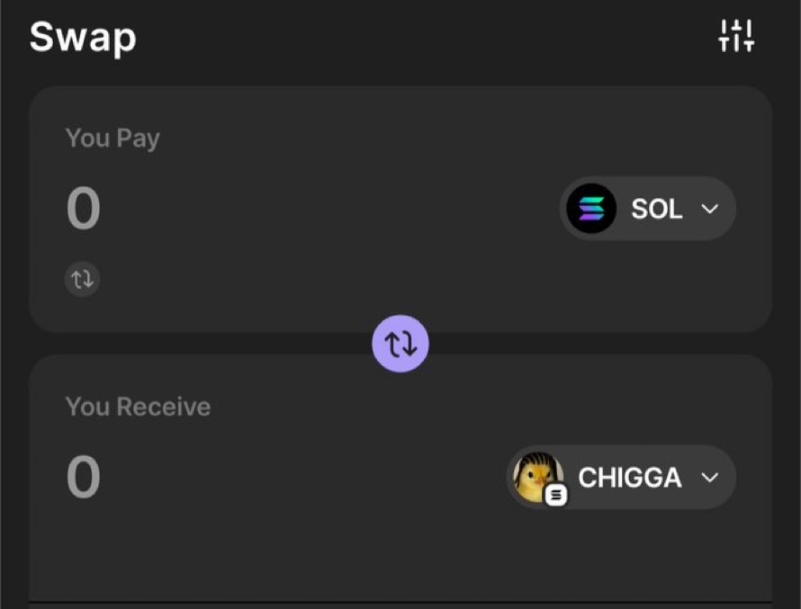 How to swap for CHIGGA tokens